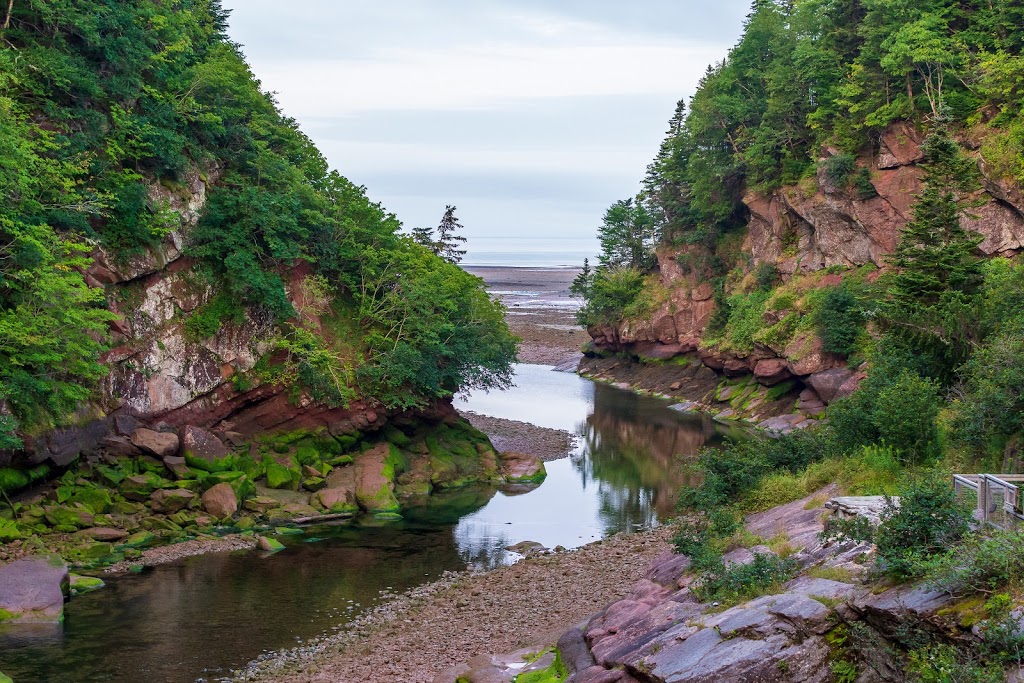 Fundy National Park Of Canada | Alma, NB, Canada | Phone: (506) 887-6000