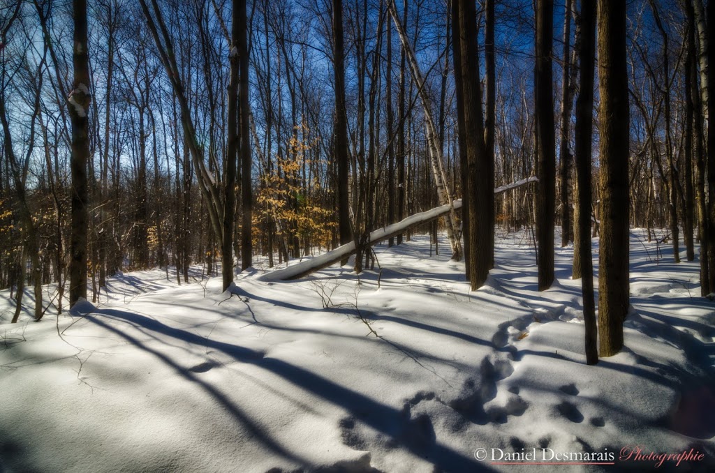 Aire écologique du ruisseau Lachapelle | 215 Boulevard des Estacades, Trois-Rivières, QC G8W 1P5, Canada