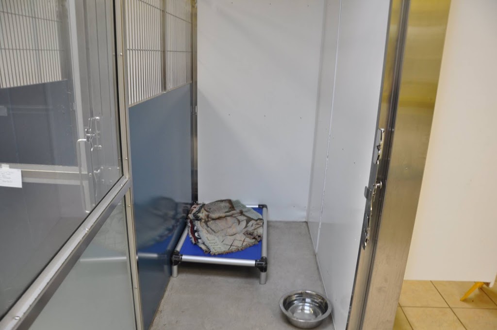 Beattie Animal Hospital | 70 Paris Rd, Brantford, ON N3R 1H9, Canada | Phone: (519) 756-1770