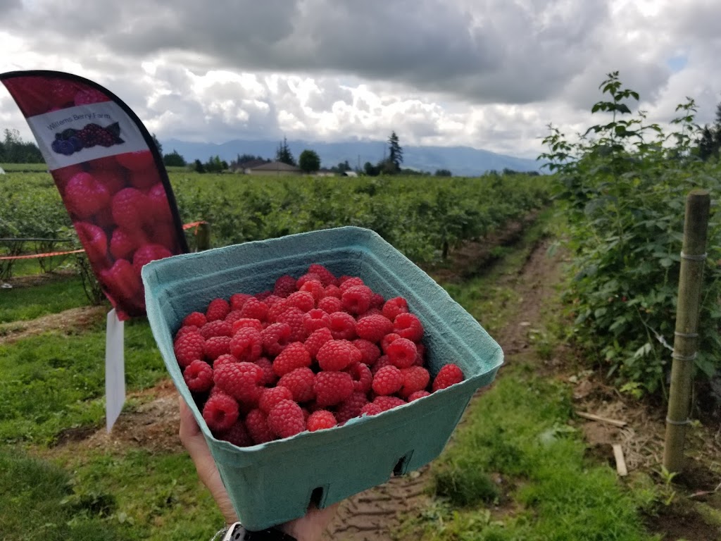 Willems Berry Farm | 33736 Vye Rd, Abbotsford, BC V2S 8A9, Canada | Phone: (604) 864-1149