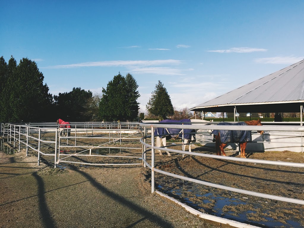 Pacific Banner Riding Club | 12400 No 3 Rd, Richmond, BC V7A 1X5, Canada | Phone: (604) 763-8869