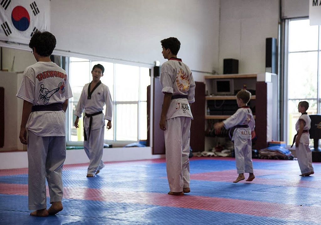 High Kick | 1550 Yorkton Ct Unit 12, Burlington, ON L7P 5B7, Canada | Phone: (905) 901-4988