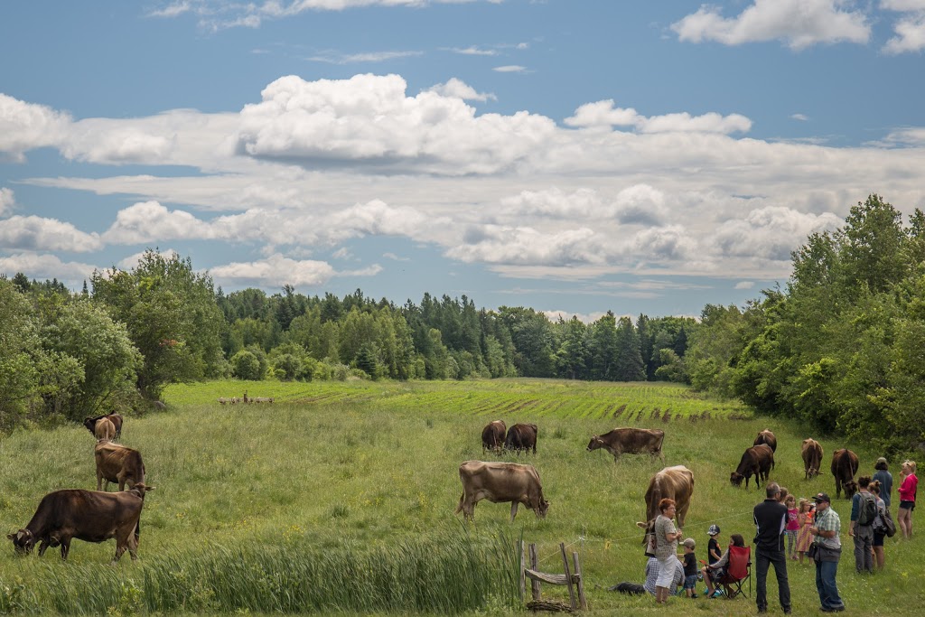 Fromagerie des Grondines | 274 2e Rang E, Grondines, QC G0A 1W0, Canada | Phone: (418) 268-4969