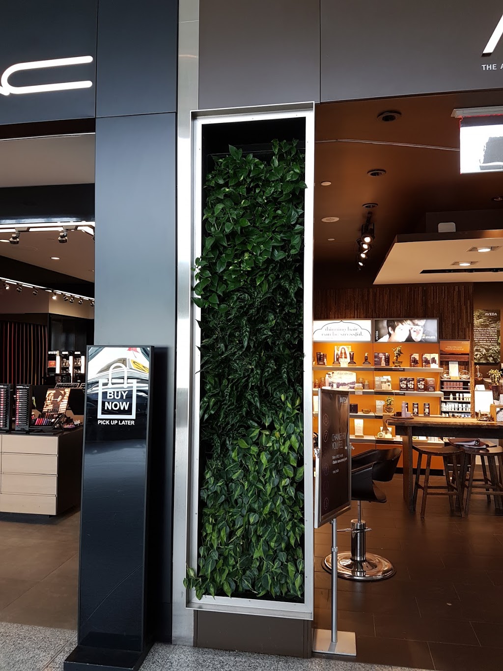 The Plant Lady Inc | 525085 Horn Rd, Woodstock, ON N4S 7V8, Canada | Phone: (519) 748-9388