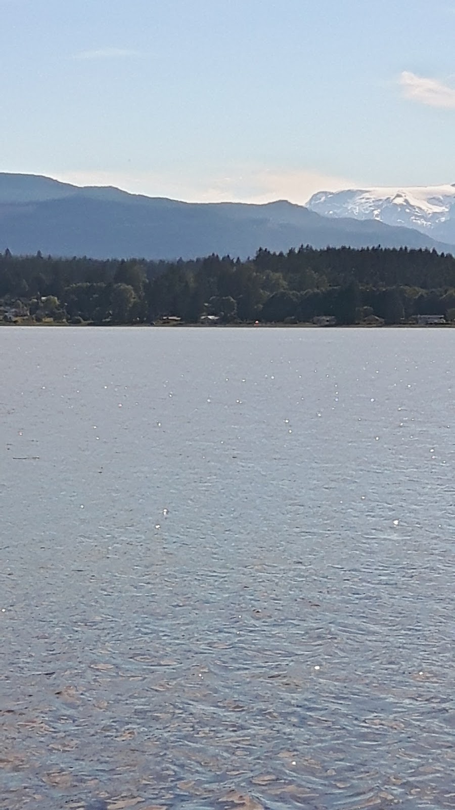 Pioneer Memorial Park | 152 Manor Dr, Comox, BC V9M 1C7, Canada | Phone: (250) 339-2202