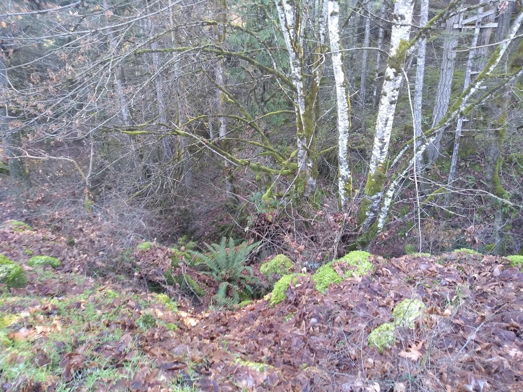 Coast Environmental | 1943 Millstream Rd, Victoria, BC V9B 6E2, Canada | Phone: (250) 478-9886