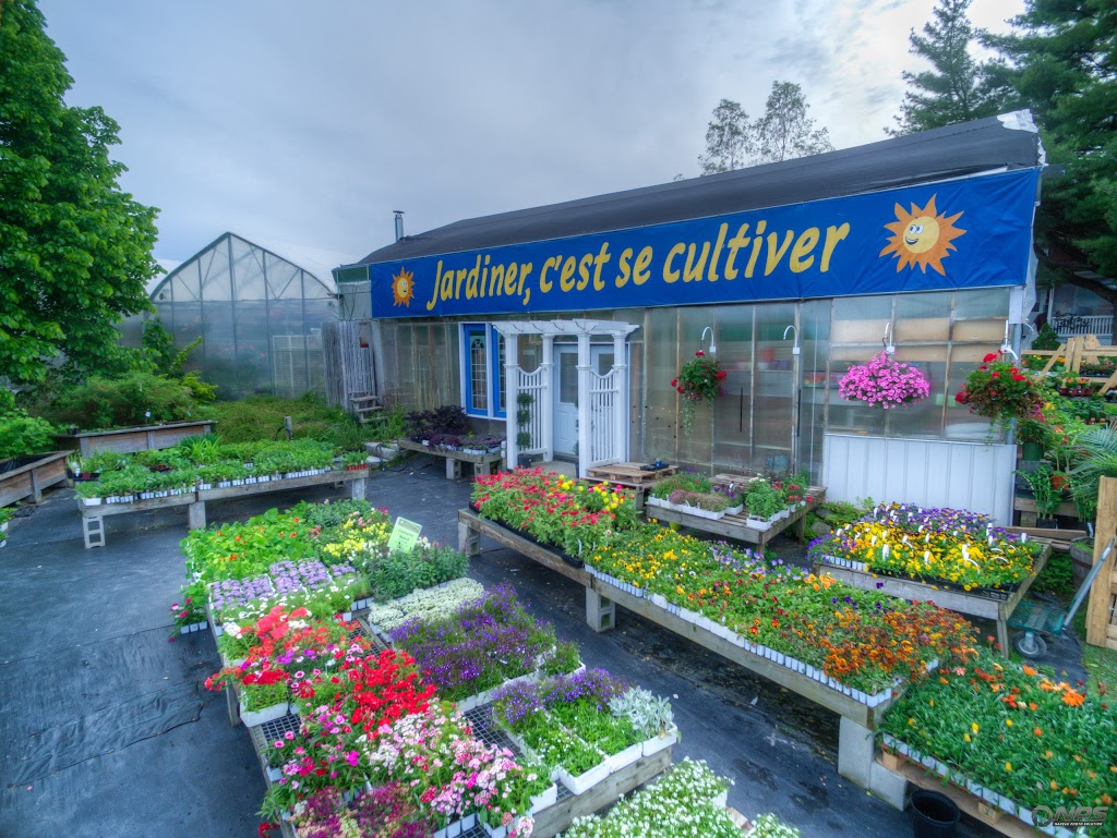 Serres Arc-En-Fleurs Enr (Les) | 6763 QC-112, Disraeli, QC G0N 1E0, Canada | Phone: (418) 449-3809