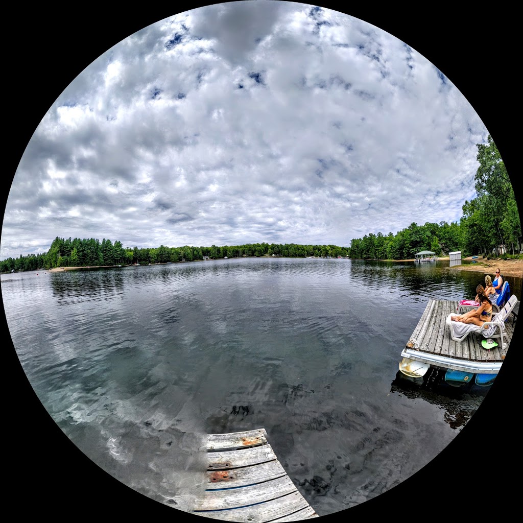 Little Gull Marina | 144 Mississauga Lake Rd, Trent Lakes, ON K0L 1J0, Canada | Phone: (705) 657-9088