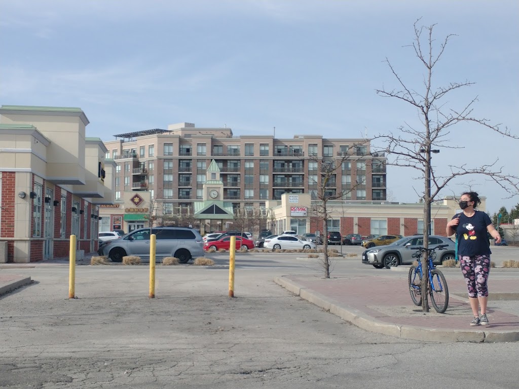 Safari Kid Markham | 9610 McCowan Rd, Markham, ON L3P 8M1, Canada | Phone: (905) 887-6788