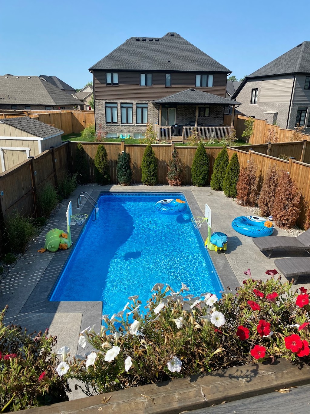 Swimply-Special Pool for Special People | 1463 N Wenige Dr, London, ON N5X 0J4, Canada | Phone: (226) 973-2655