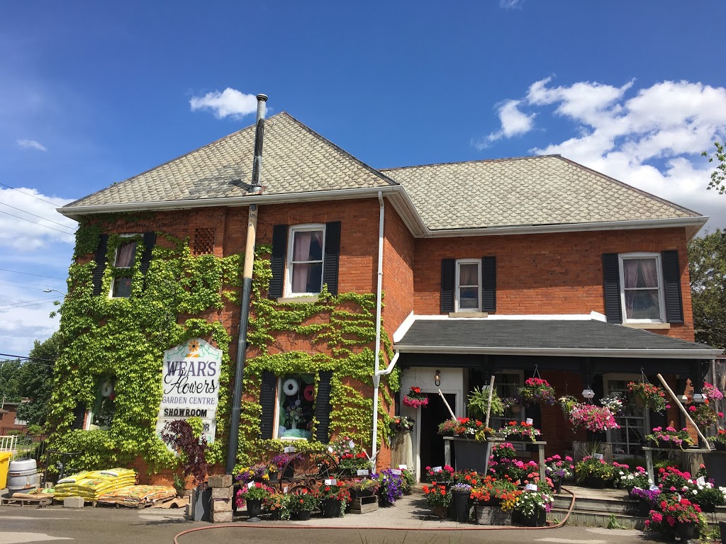 Wears Flowers & Garden Centre | 1814 King St E, Hamilton, ON L8K 1V7, Canada | Phone: (905) 544-4906