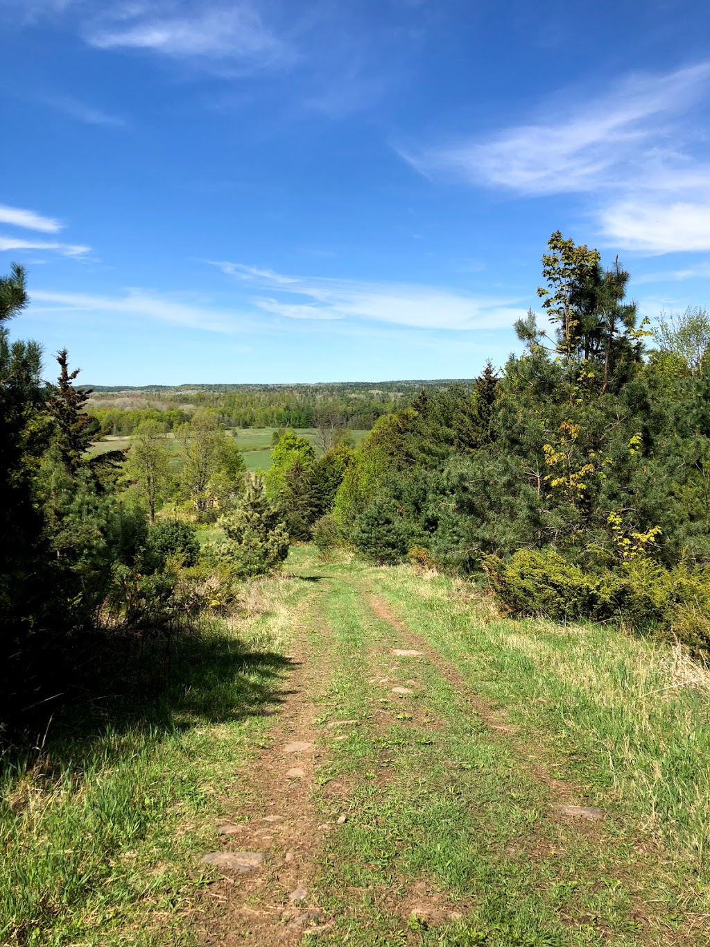 Dacre Heights | 851 Flat Rd, Greater Madawaska, ON K0J 1N0, Canada | Phone: (613) 322-5246