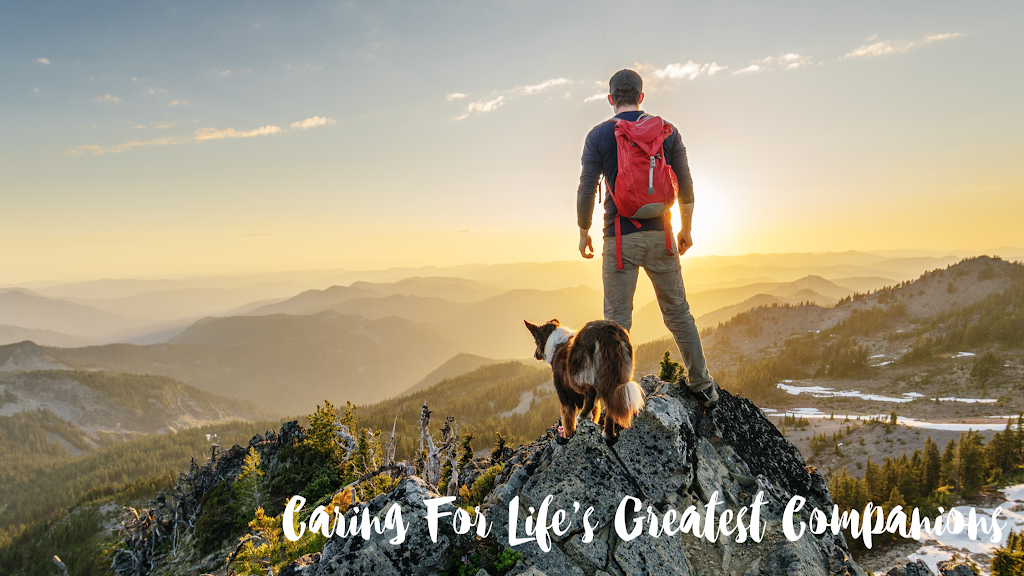 VCA Canada Riverbend Animal Hospital | 8338 18 St SE #354, Calgary, AB T2C 4L5, Canada | Phone: (403) 279-8747