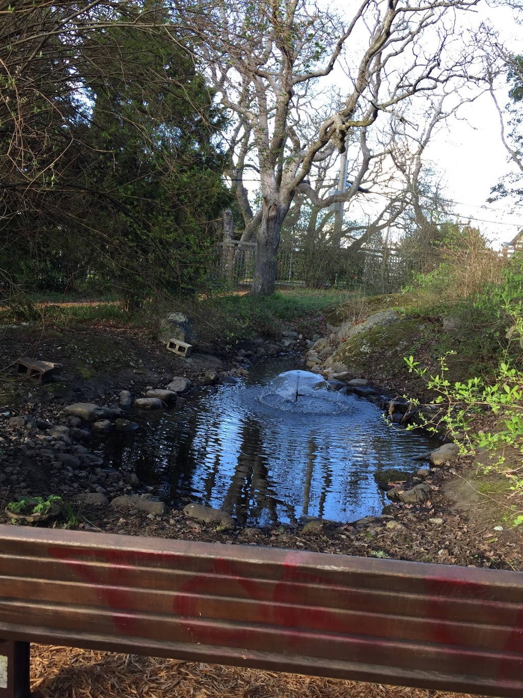 Oak Bay Native Plant Garden | 1178 Beach Dr, Victoria, BC V8S 3A8, Canada | Phone: (250) 592-7275