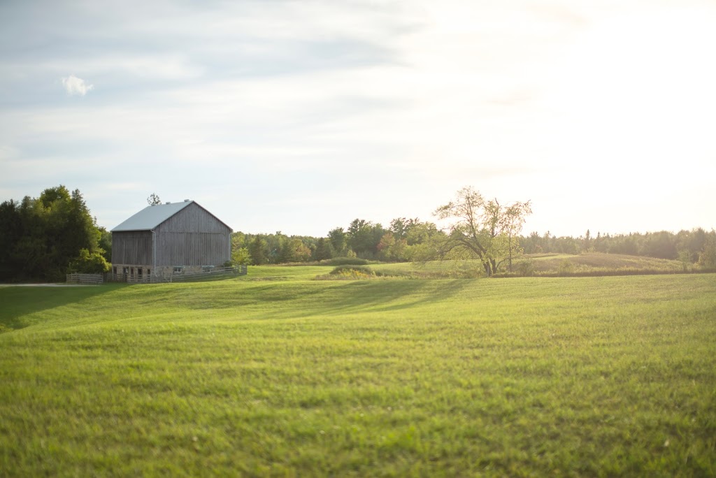 The Hummingbird Barn Venue | 5035 Wellington 125, Erin, ON L7J 2L9, Canada | Phone: (289) 349-1144