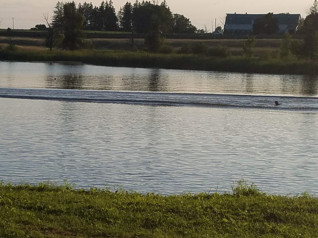 Eccolands Park | 334 River Rd, Gloucester, ON K1V 1C8, Canada