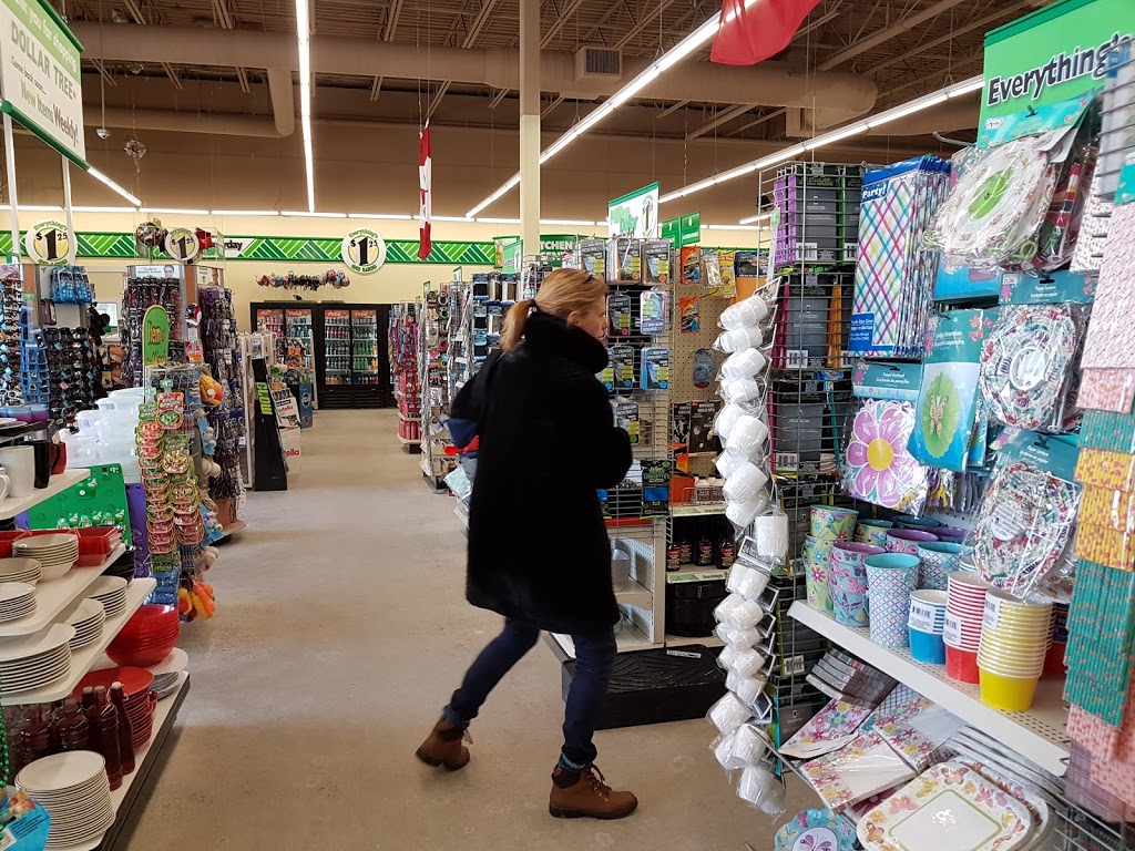 Dollar Tree | 1750 Innes Rd, Gloucester, ON K1B 3K5, Canada | Phone: (613) 741-2519