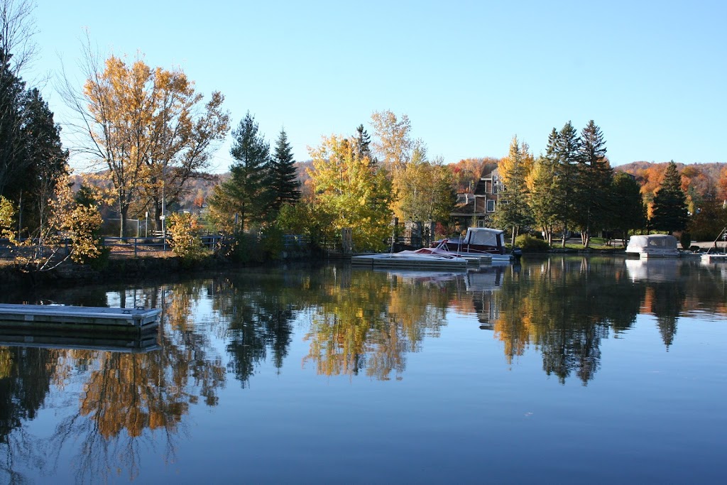 Ski de fond Mont-Tremblant | 251 Chemin Clément, Mont-Tremblant, QC J8E 1N8, Canada | Phone: (819) 425-5588