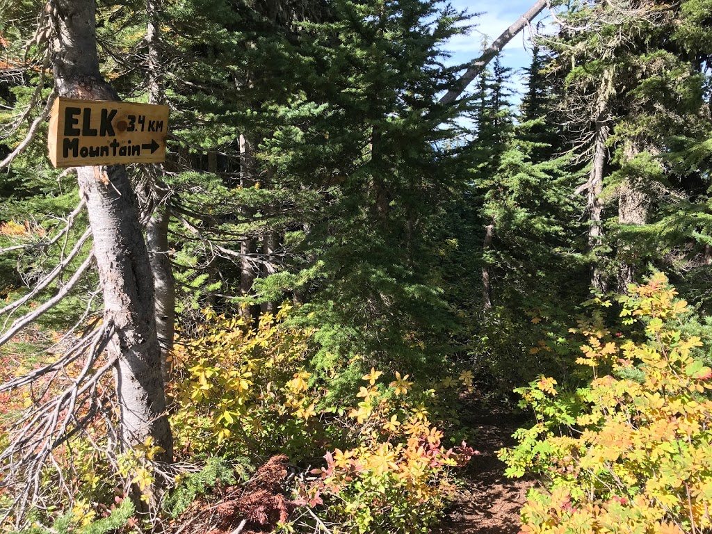 Elk Mountain Trailhead | 50311-50285 Elk View Rd, Chilliwack, BC V4Z 1A5, Canada