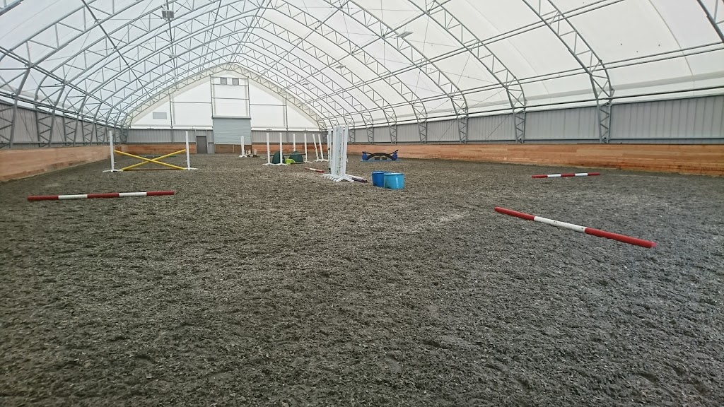 In Stride Equestrian Training | 2893 Bradner Rd, Abbotsford, BC V4X 1K6, Canada | Phone: (604) 607-3516