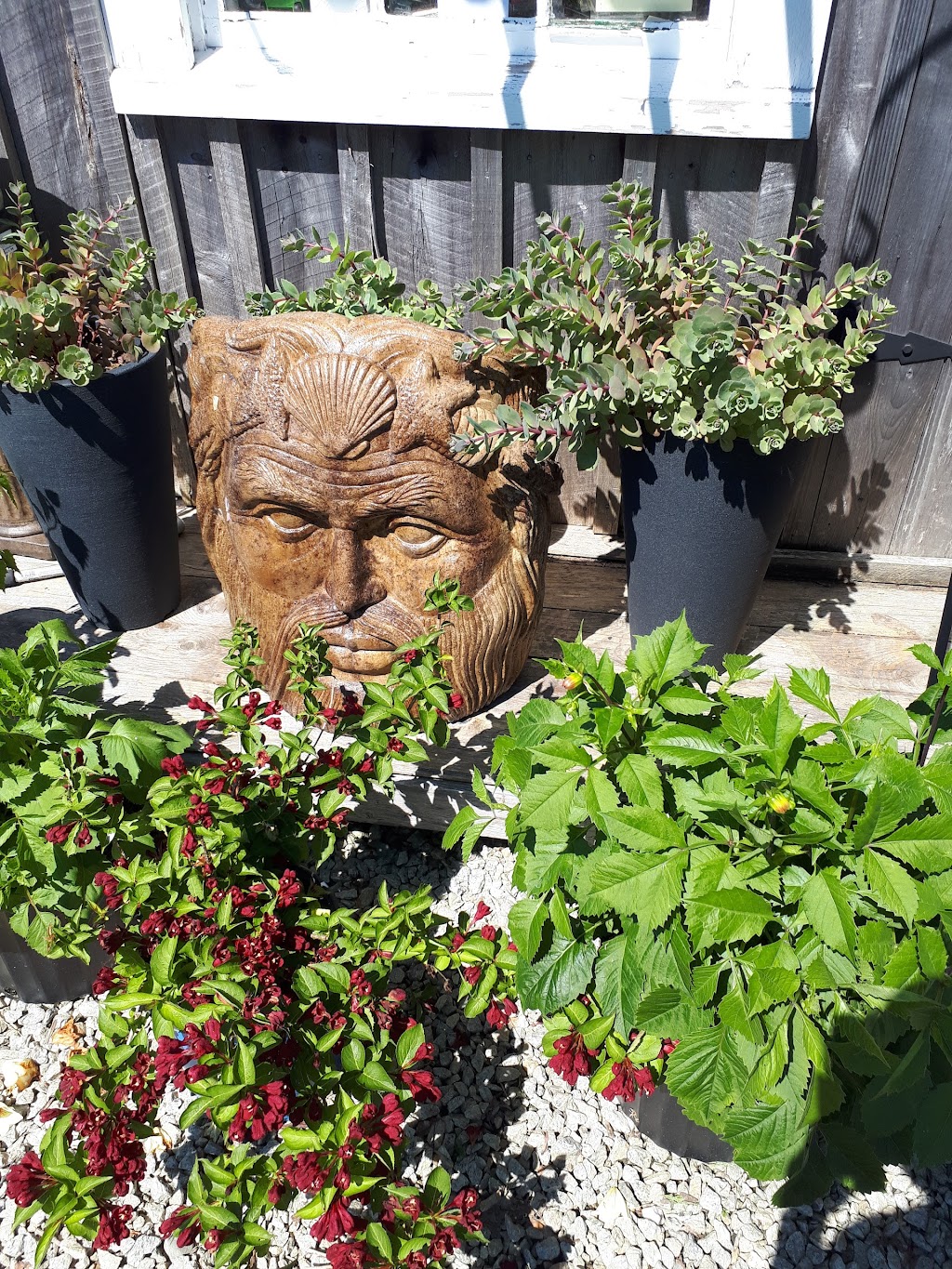 Ouest Ville Perennials | 1250 Argyle Sound Rd, West Pubnico, NS B0W 3S0, Canada | Phone: (902) 762-3198