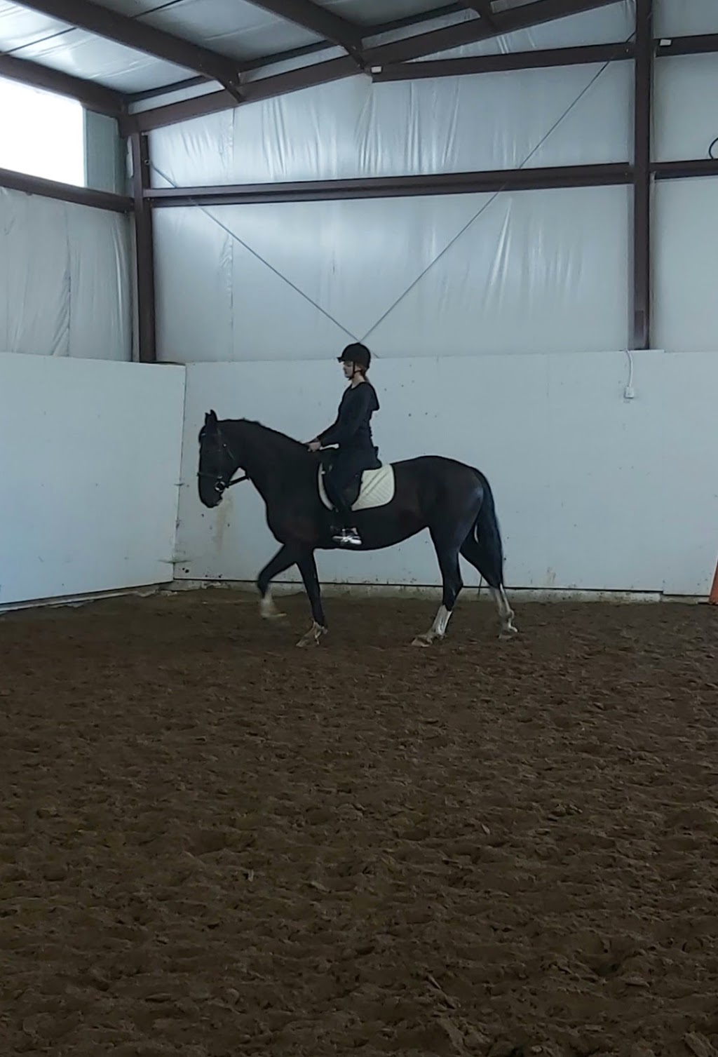 Sherwood Farms | 4419 Kilkenny Rd, Lyn, ON K0E 1M0, Canada | Phone: (613) 556-0466