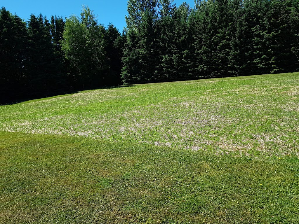 Lafontaine Park | 342 Lafontaine Rd W, Penetanguishene, ON L9M 1R3, Canada | Phone: (705) 526-4204