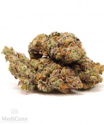 MediCann Ottawa Delivery | 36 Nelson St, Ottawa, ON K1N 7R2, Canada | Phone: (343) 500-6305