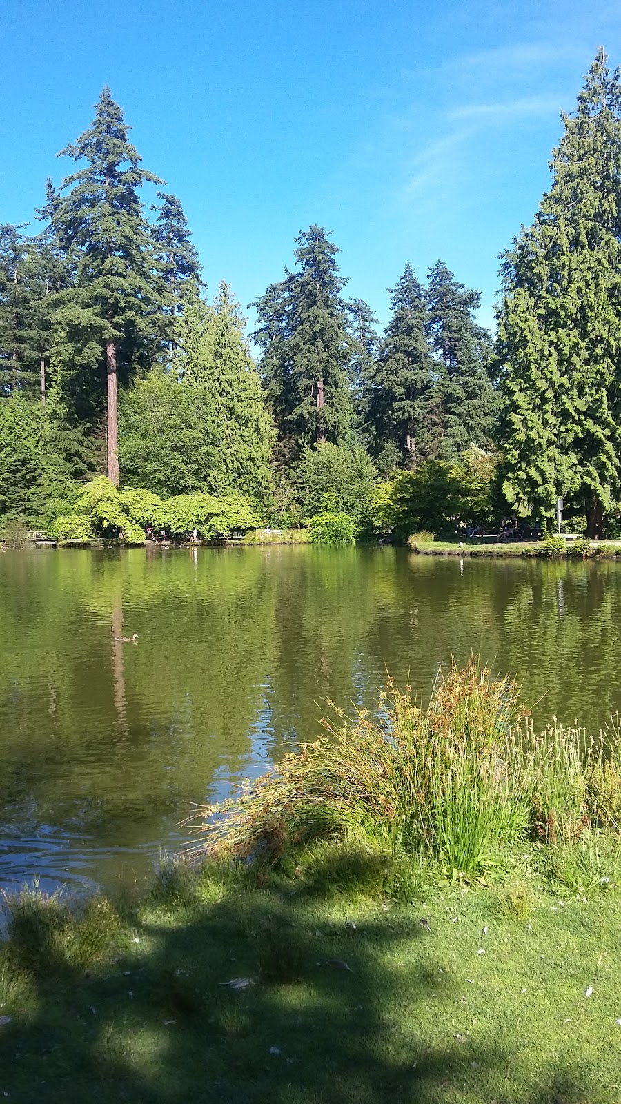 Central Park | Burnaby, BC V5S 3R2, Canada | Phone: (604) 294-7450