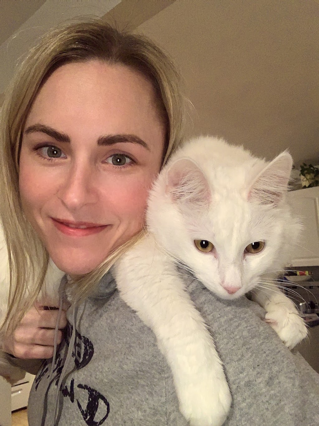 Dr. Aerin Greidanus, Animal Chiropractor | 6 Booth St, Minden, ON K0M 2K0, Canada | Phone: (705) 955-1301