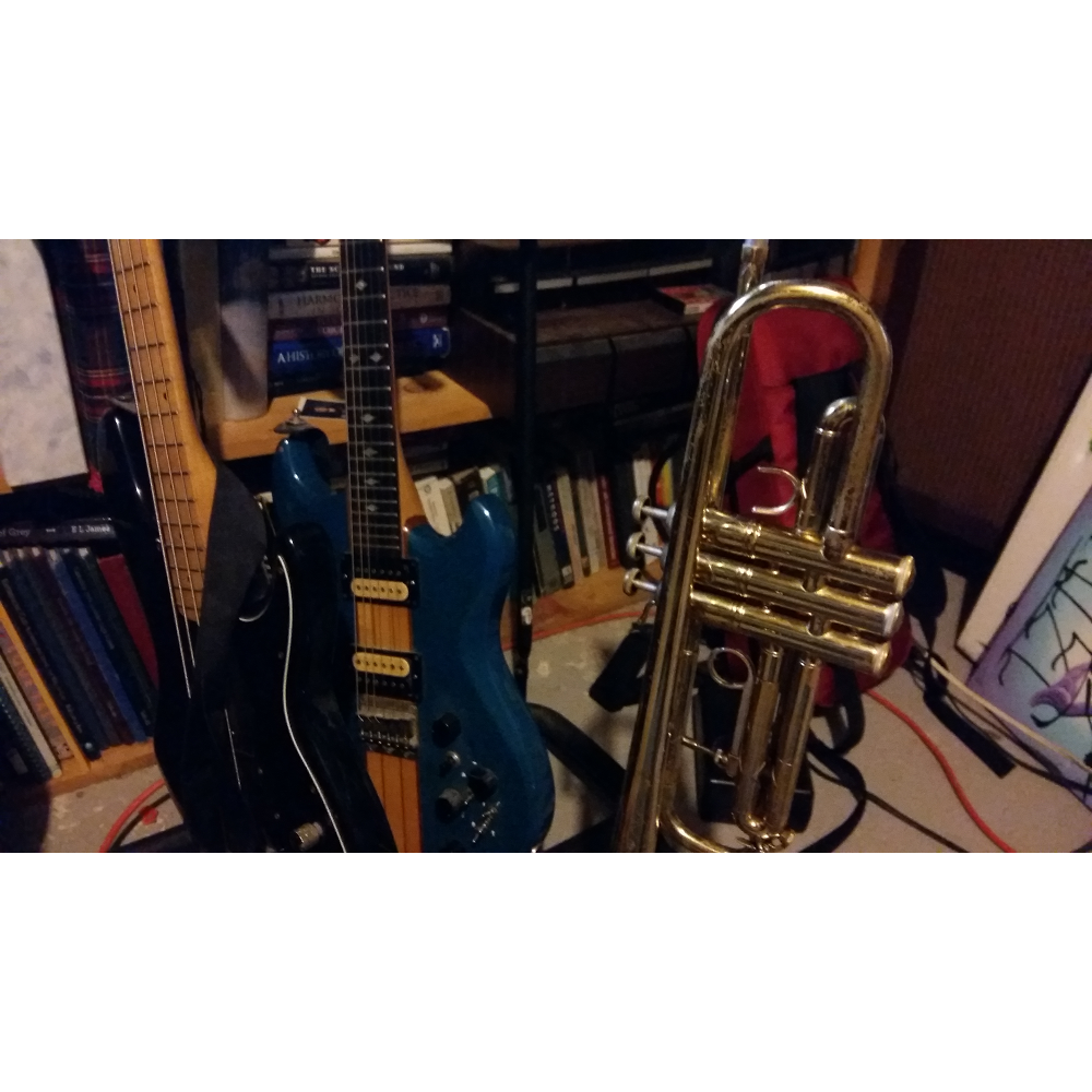 Andrew Cabana Cours de Musique / Music Lessons | 28 Place Daoust, Pincourt, QC J7W 7B9, Canada | Phone: (514) 295-5028