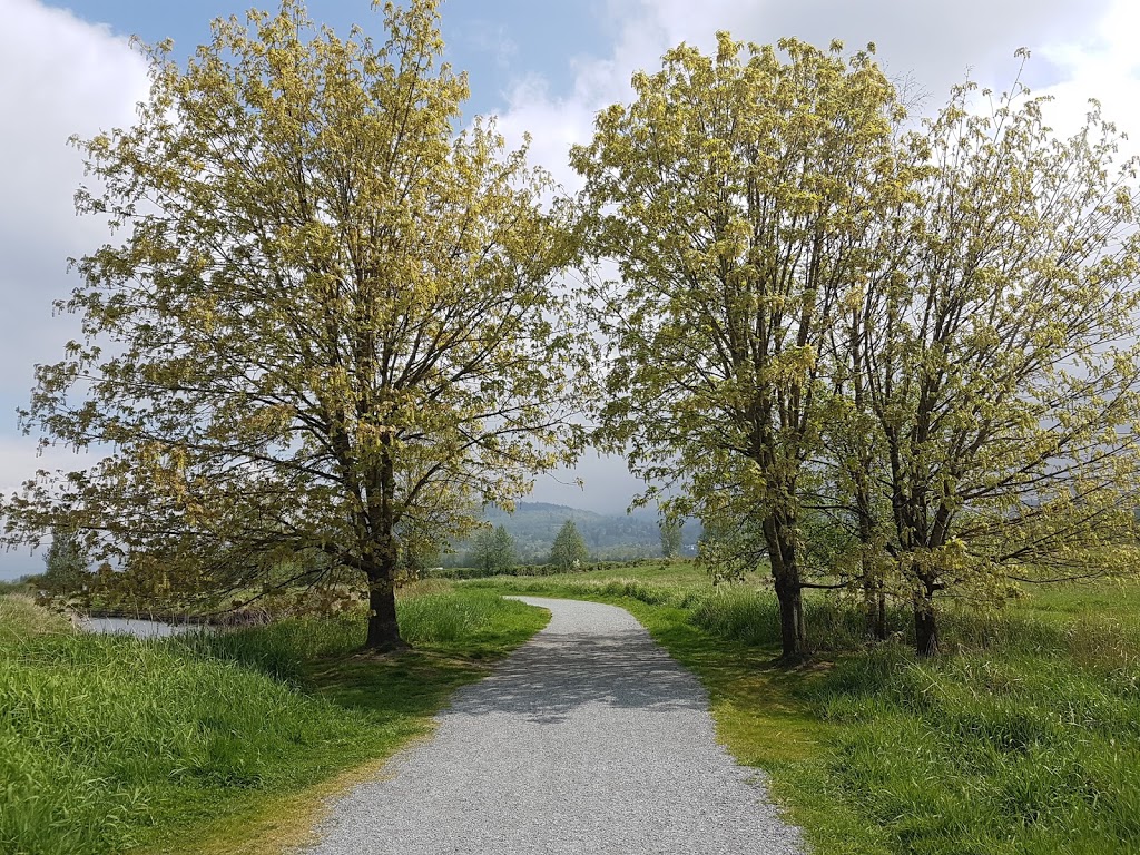 Willband Creek Park | Bateman Rd, Abbotsford, BC V2S 7Y8, Canada | Phone: (604) 853-2281