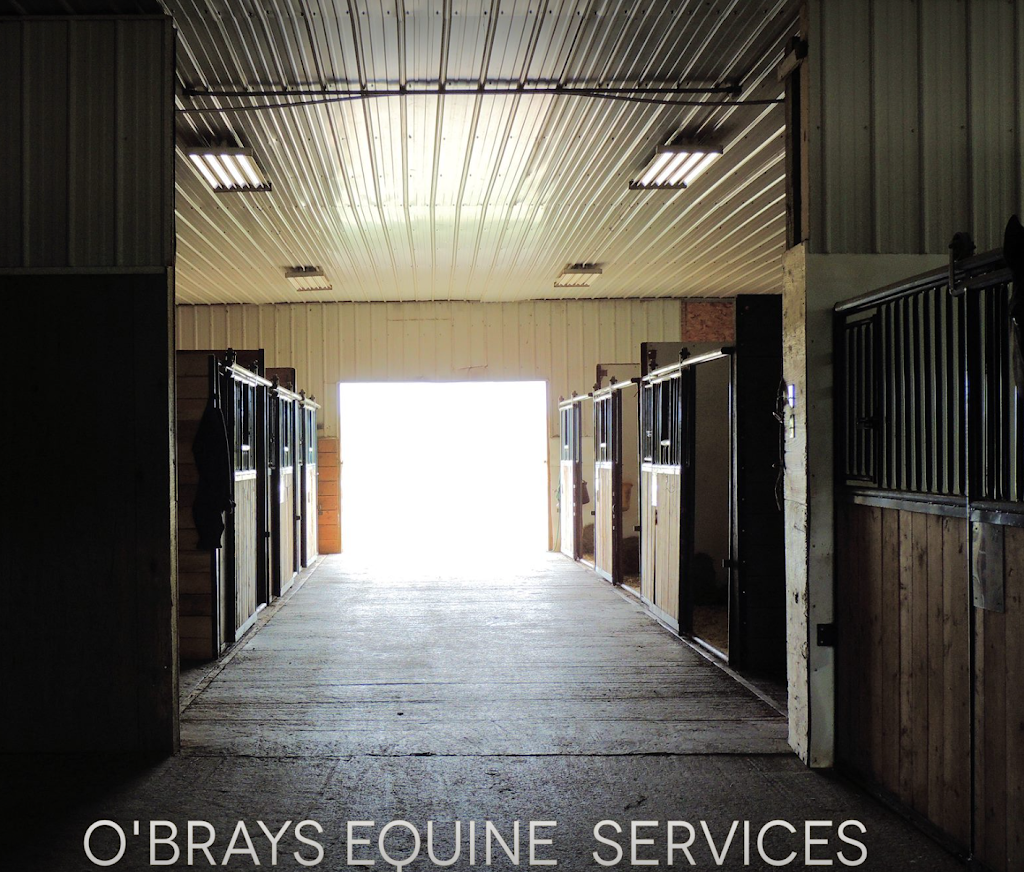 OBrays Equine Services | 29509 Hwy 2A, Carstairs, AB T0M 0N0, Canada | Phone: (403) 337-4006