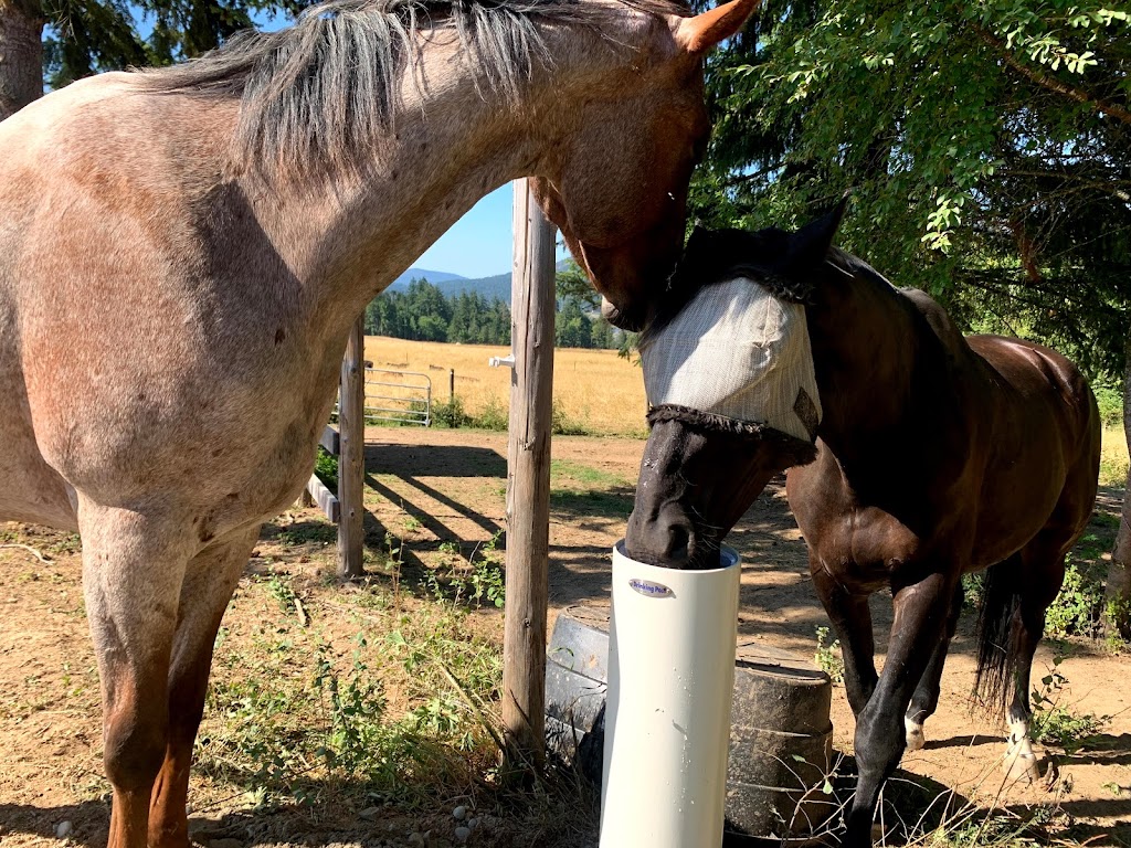 Little Blackbird Farm | 1885 Wilmot Rd, Cowichan Bay, BC V0R 1N1, Canada | Phone: (250) 888-5816