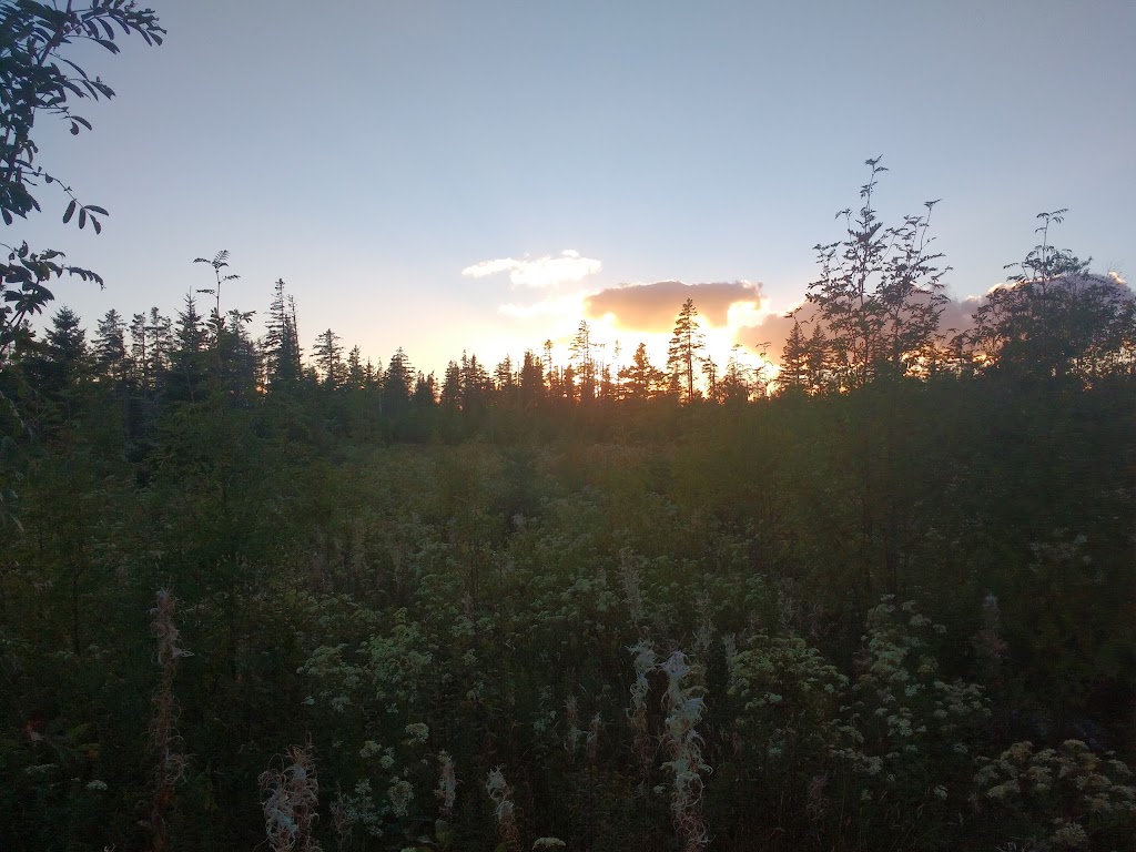 Beaver Mountain Provincial Park | 472 Beaver Mountain Rd, Antigonish, NS B2G 2K8, Canada | Phone: (902) 863-4513