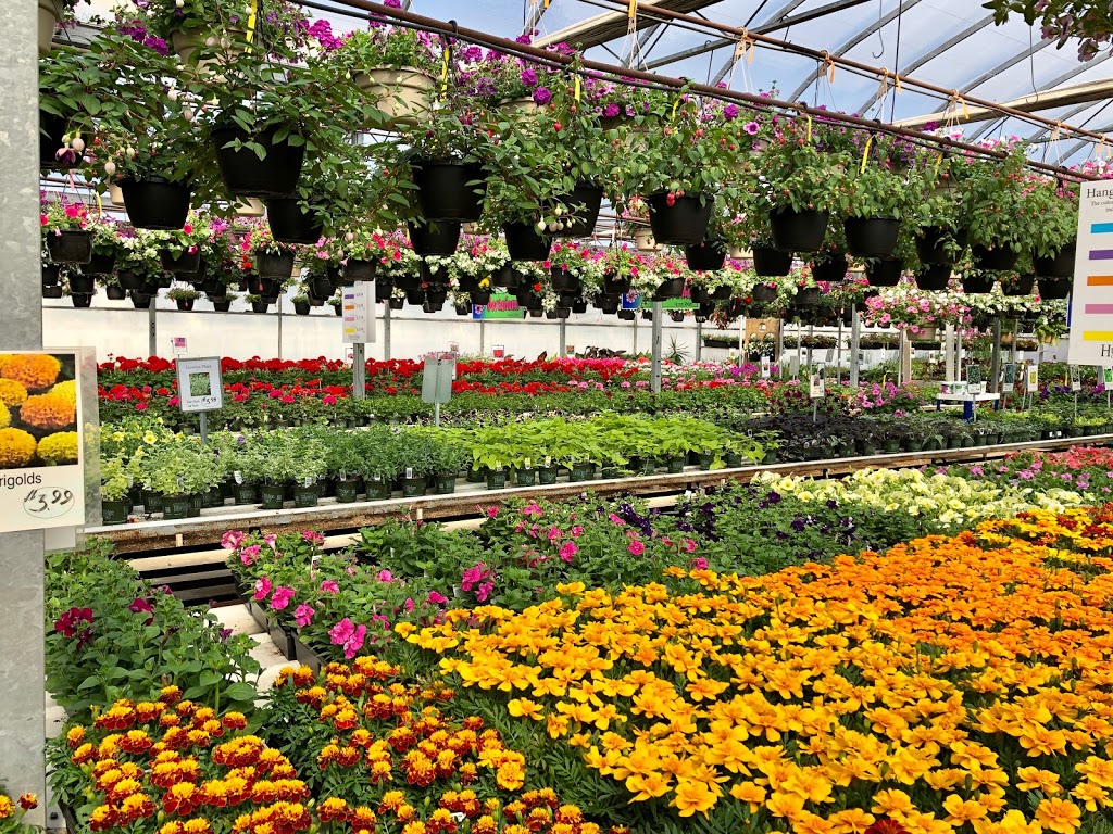 Huron Ridge Acres Inc. | 74101 Bronson Line, Zurich, ON N0M 2T0, Canada | Phone: (519) 565-2122