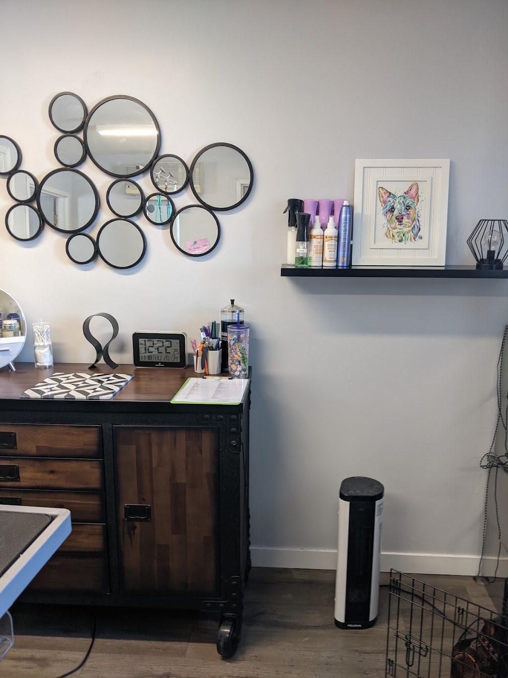 Shake Your Tail Feather Grooming | 1914 Carriere Rd, Grande Pointe, MB R5A 1H8, Canada | Phone: (204) 396-7444