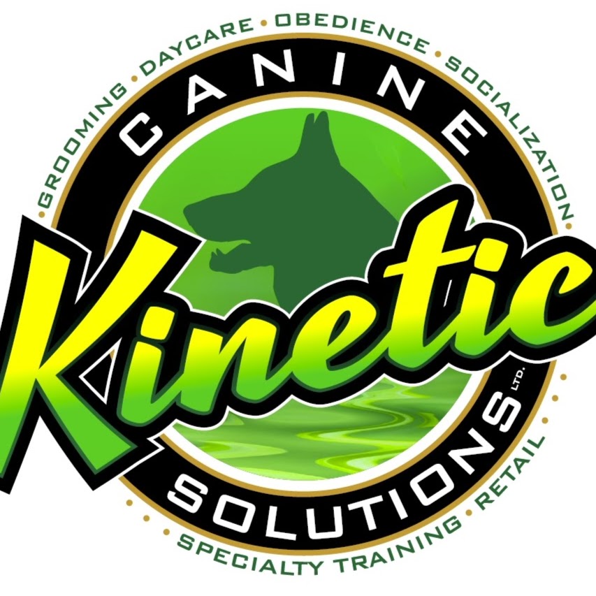 Kinetic K9 | 4095 Shelbourne St, Victoria, BC V8N 5Y1, Canada | Phone: (250) 590-8359
