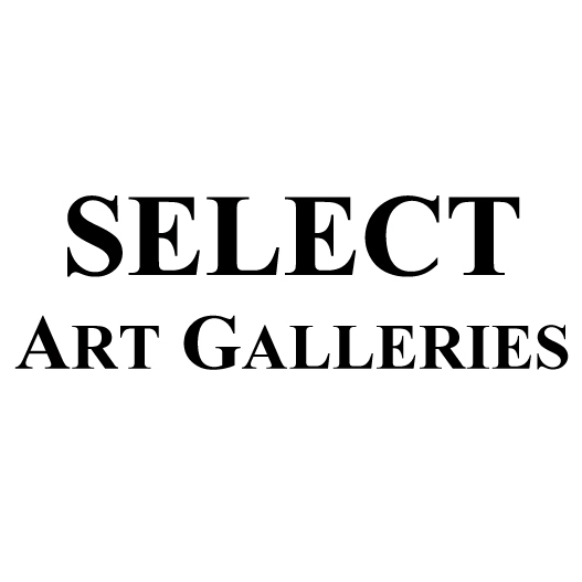 Select Art Galleries | 16686 Yonge St, Newmarket, ON L3X 3A1, Canada | Phone: (905) 895-3002