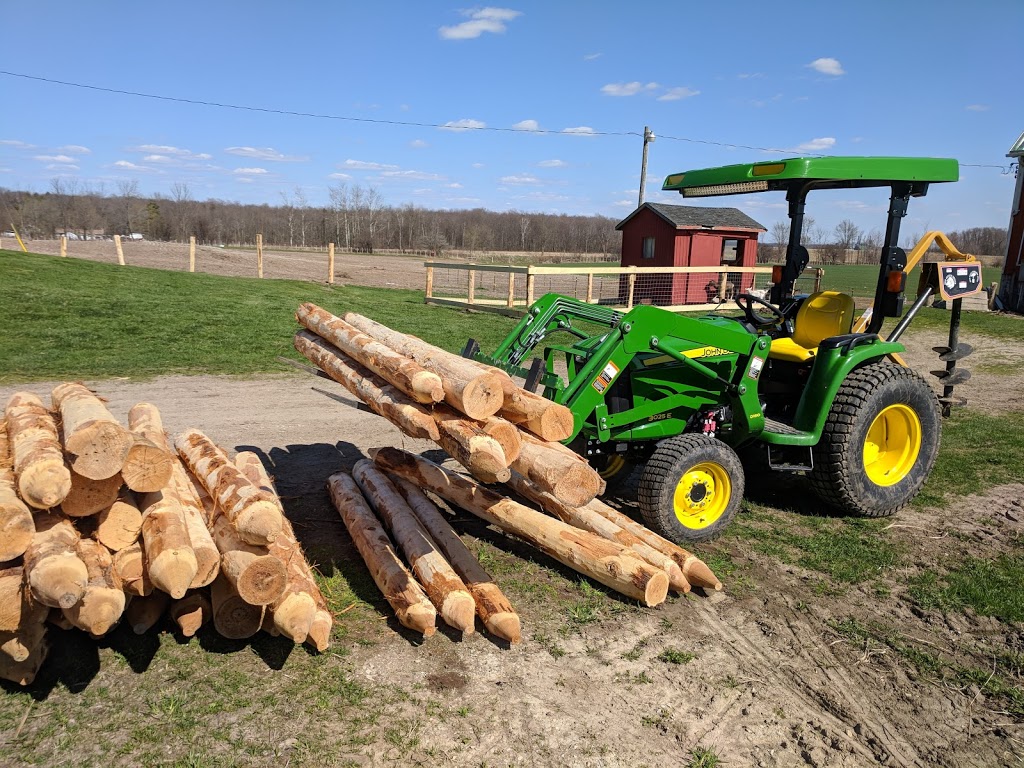 Ames Tractor Rentals | 167 North St, Paisley, ON N0G 2N0, Canada | Phone: (705) 648-1606