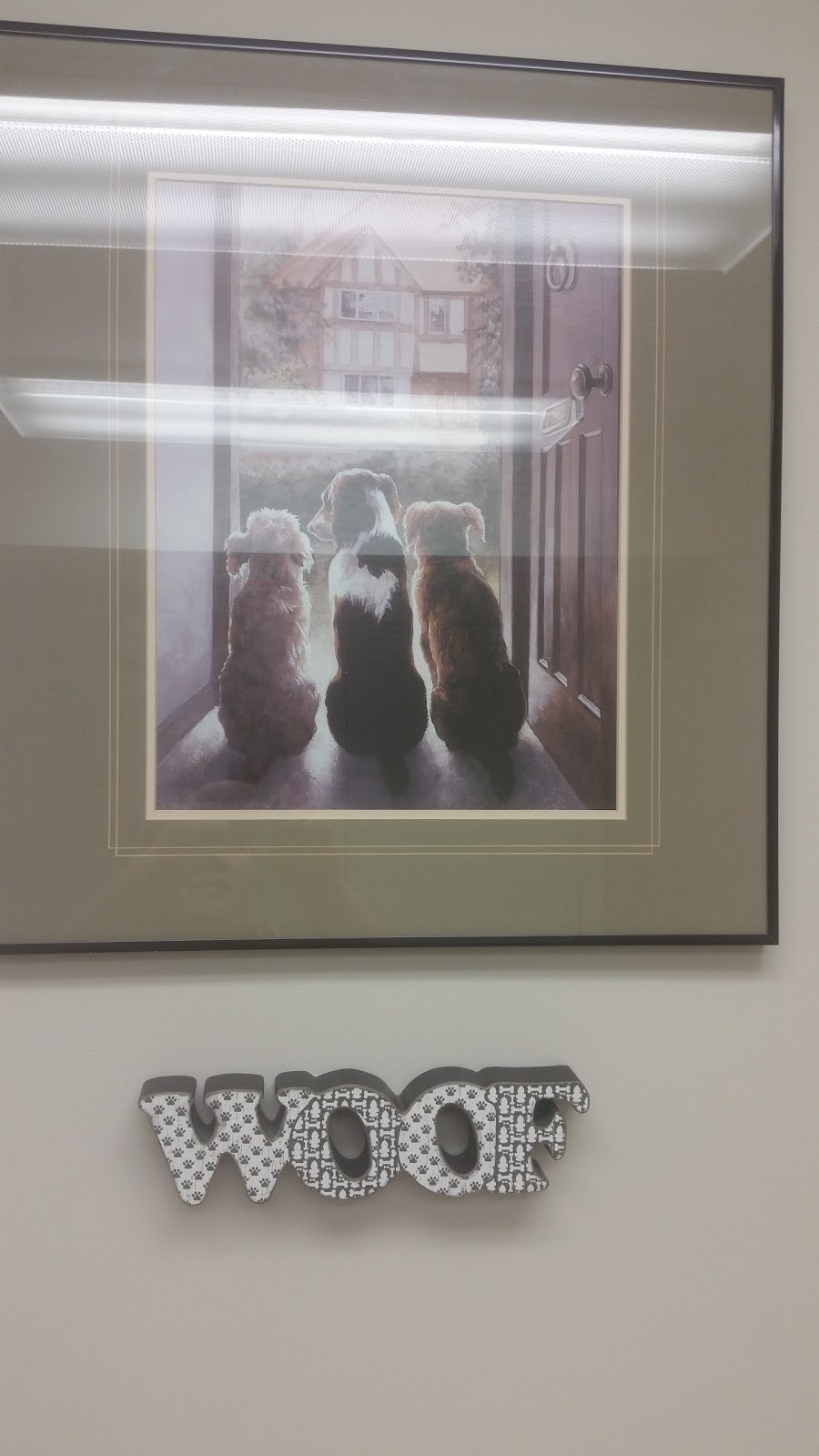 Trenant Park Pet Clinic | 5080 Linden Dr, Delta, BC V4K 3A5, Canada | Phone: (604) 940-0899