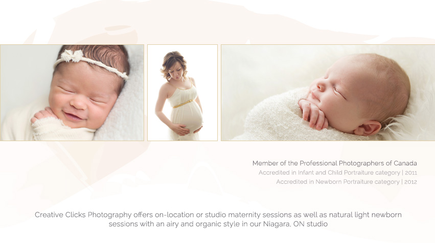 Tamsen Lee Photography | 3839 Victoria Ave, Vineland, ON L0R 2C0, Canada | Phone: (289) 567-0699