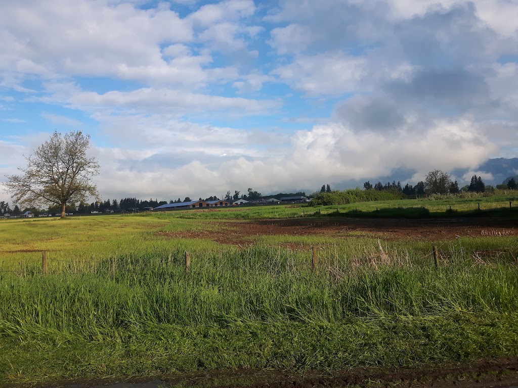 Corners Pride Farms Ltd | 10484 McGrath Rd, Rosedale, BC V0X 1X0, Canada | Phone: (604) 794-7735