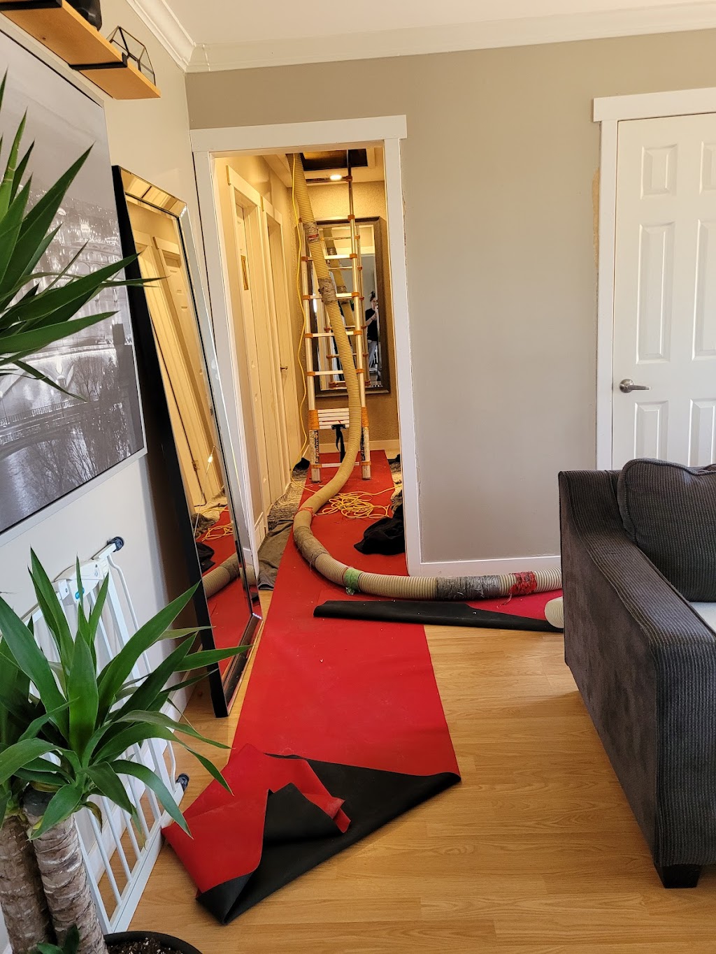 Net Zero Insulation Inc | 6 Jennifer Rd, London, ON N5X 3G5, Canada | Phone: (519) 914-6380