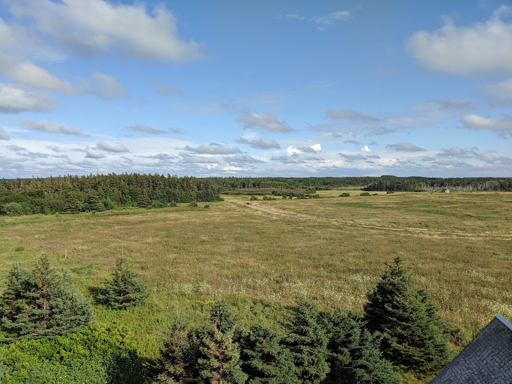 Greenwich Beach, Prince Edward Island National Park | Wild Rose Rd, Saint Peters Bay, PE C0A 2A0, Canada | Phone: (902) 672-6350
