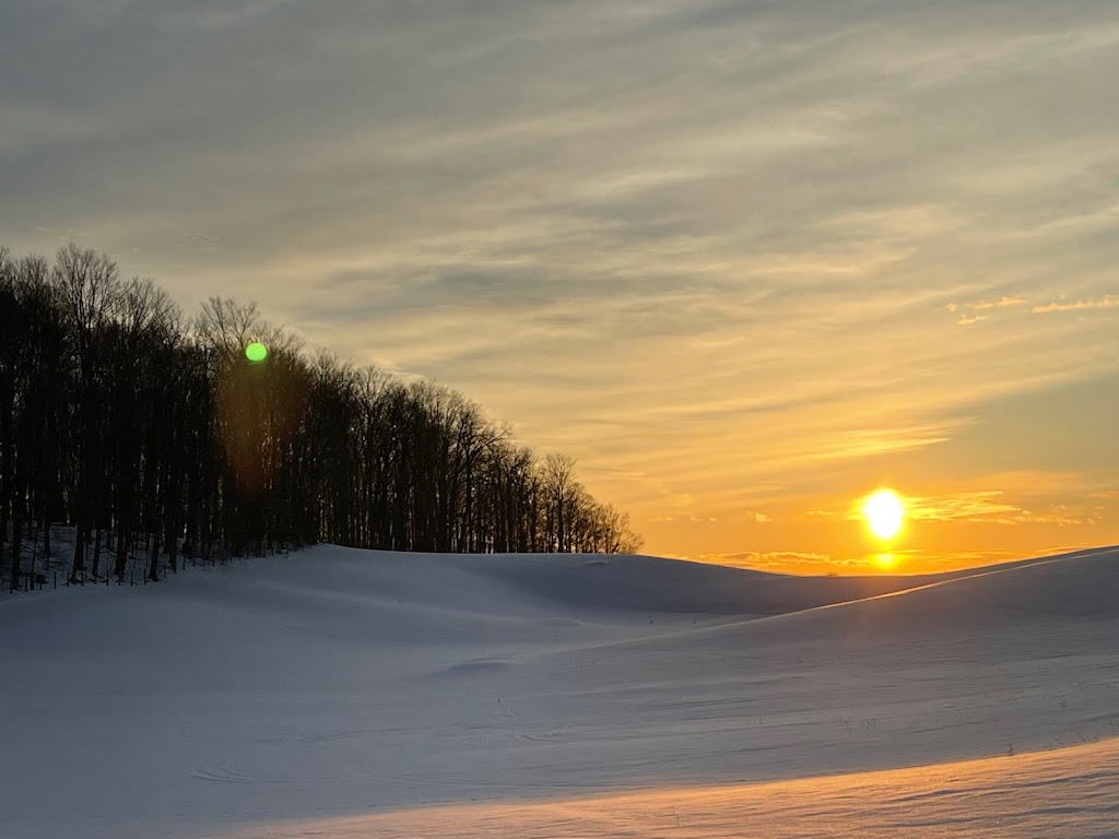 Fairly Big Farm | 301 Webb Rd, Goodwood, ON L0C 1A0, Canada | Phone: (416) 452-7315