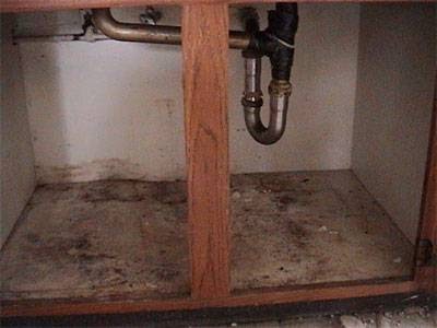 C H I Home Inspections | 3 Sunwood Park SE, Calgary, AB T2X 2V8, Canada | Phone: (403) 862-2230