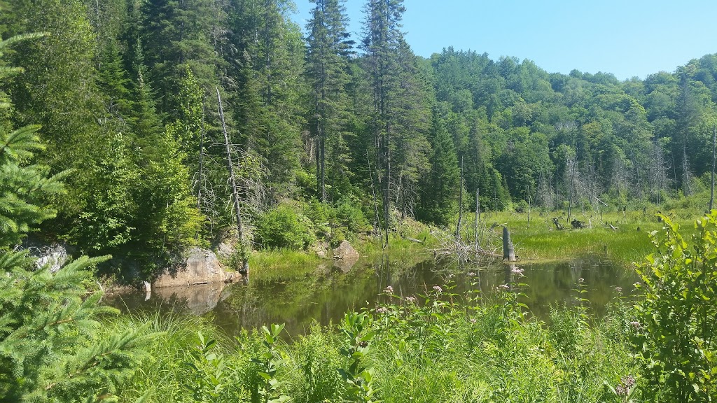 Réserve faunique de Papineau-Labelle | 443 QC-309, Val-des-Bois, QC J0X 3C0, Canada | Phone: (819) 454-2011
