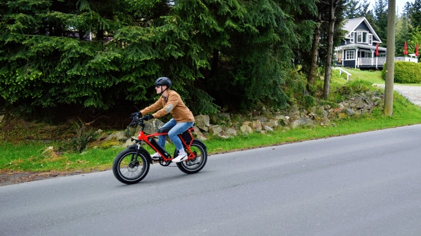 GoTomato.ca | 455 Dixon Rd, Mayne Island, BC V0N 2J2, Canada | Phone: (672) 882-9766