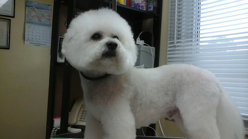 Candi Cares Professional Dog Grooming | 477 OConnell Rd, Peterborough, ON K9J 4E1, Canada | Phone: (705) 748-6063
